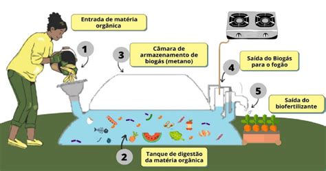 Biodigestor Para Tratamento De Res Duos Org Nicos Ecb