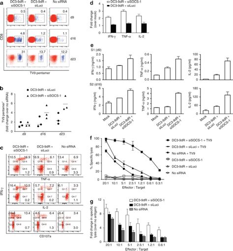 Socs Silenced Dcs Induce Potent Primary Hiv Gag Specific Cd T Cell