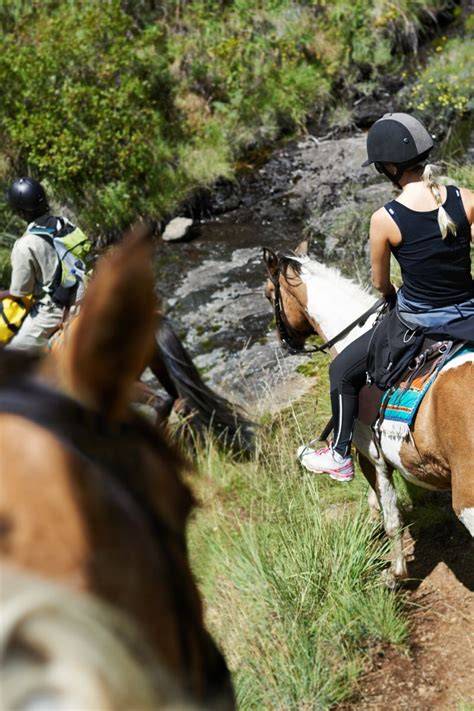 The Importance Of Safety Rules And Guidelines For Horseback Trail ...