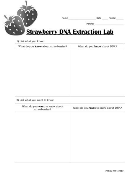 Strawberry DNA Extraction Lab