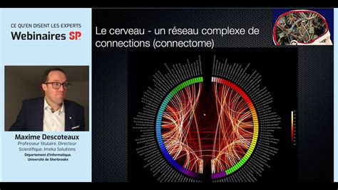 Webinaire Sp Ce Qu En Disent Les Experts La Cartographie Du Cerveau