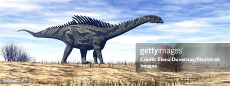 Sauropod Legs Photos And Premium High Res Pictures Getty Images