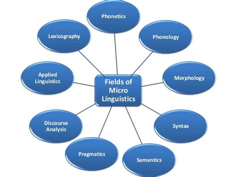 Branches Of Linguistics