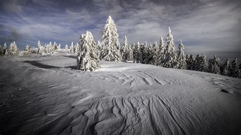 Snow Covered Mountain And Trees Covered With Snow Under Cloudy Sky Hd