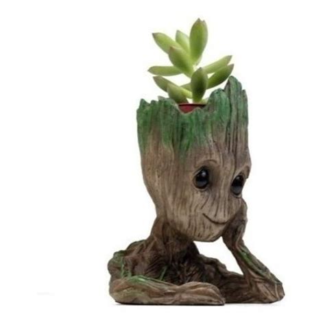 Vaso Groot Para Cactos E Suculentas No Shoptime