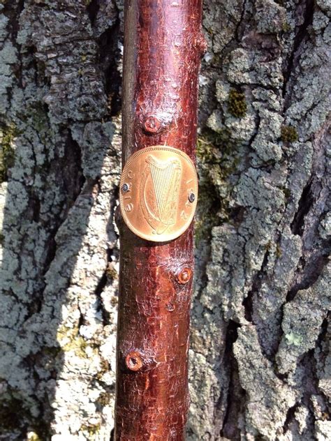 Custom Shillelagh Walking Sticks By Owl Brand Woodworks Custommade