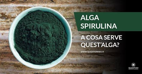 Spirulina A Cosa Serve E Come Utilizzarla Quantum Hes