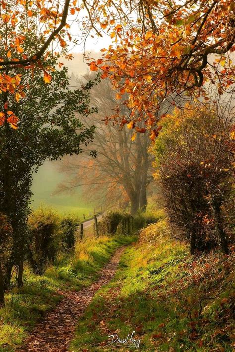 Petit chemin automnal | Beautiful scenery nature, Autumn scenery ...