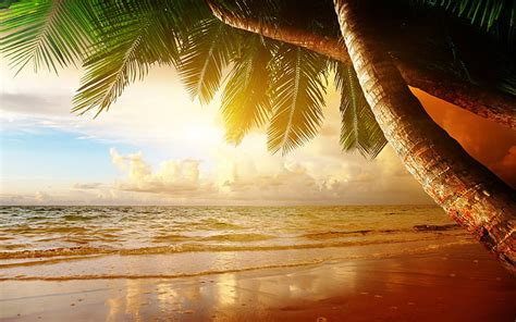 Hd Wallpaper Summer Tropical Scenery Sunset Sea Ocean Palm Trees