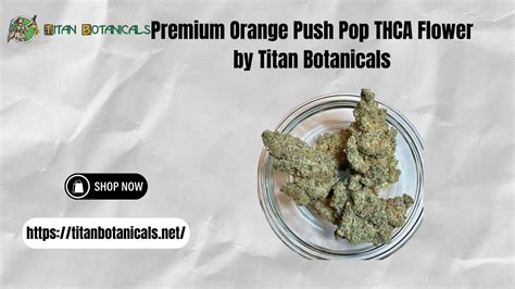 Premium Orange Push Pop Strain By Titan Botanicals