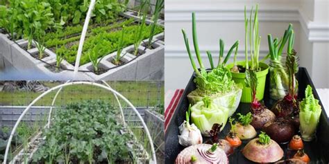 Easy DIY Garden Bed Ideas - Natural Garden Tips