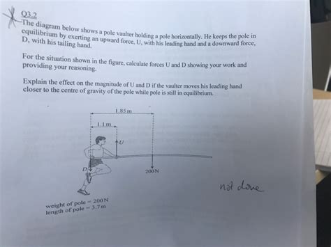 Solved The Diagram Below Shows A Pole Vaulter Holding A Pole Chegg