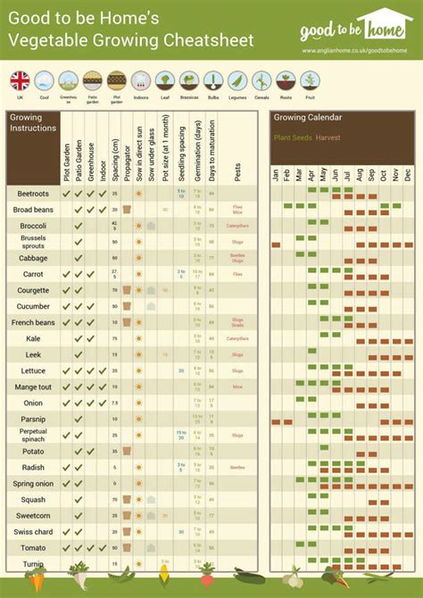 Plu Produce Codes Cheat Sheet