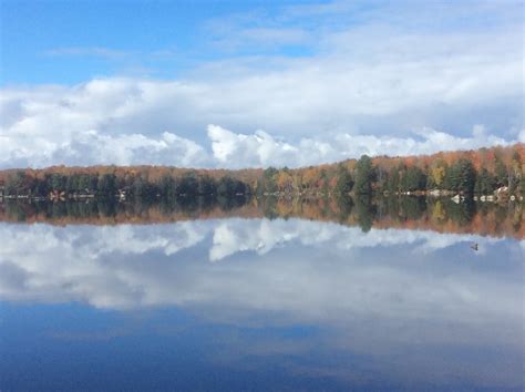 Leech Lake, Muskoka: Fall Colours