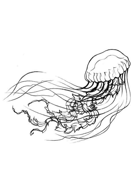 Раскраски раскраска медуза Раскраски раскраска медуза Онлайн