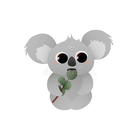 Cute Koala Bear Eating Eucalyptus Leaves Isolated on White Background ...