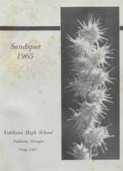 Valdosta High School - Sandspur Yearbook (Valdosta, GA), Class of 1965 ...