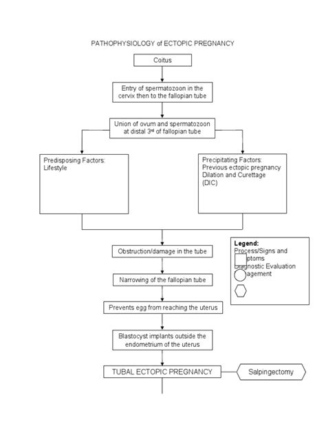 Pathophysiology Of Ectopic Pregnancy Pdf Uterus Health Sciences