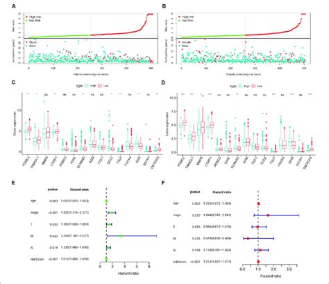 The Immune Gene Signature Is An Independent Prognostic Indicator In