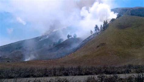 Lagi Bukit Teletubbies Bromo Hangus Terbakar TIMES Indonesia