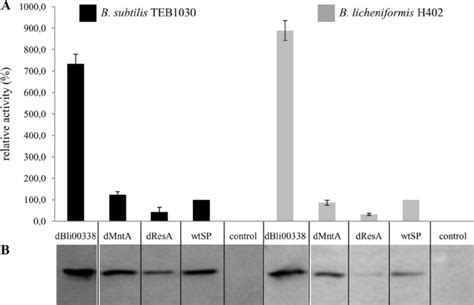 Extracellular Activities A And Amount Of Protein B Determined By