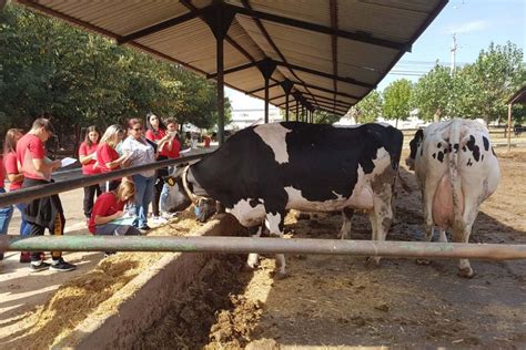 Doar 21 Dintre Elevii Din Liceele Cu Profil Agricol Au Participat La