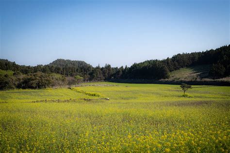 jeju korea on Behance