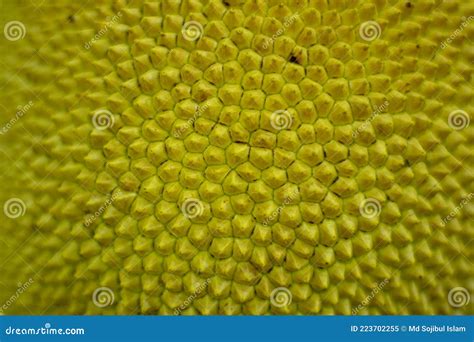 Jackfruit Thorn Surface Blur Texture Background Stock Photo