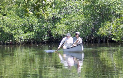 How To Catch Snook Eposeidon Fishing Academy