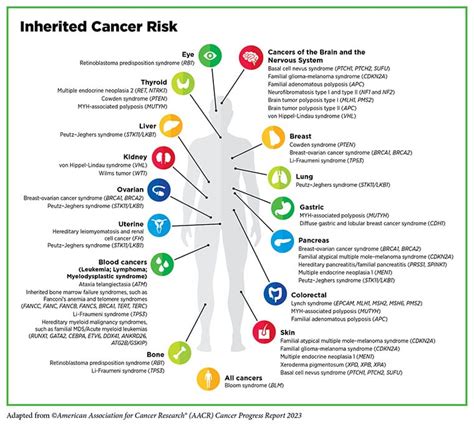 The More You Know About Cancer Prevention Aacr