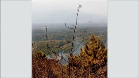 Hutan Lereng Gunung Argopuro Terkabar Kabar Munculnya Titik Api Sejak