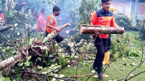 Pohon Tumbang Timpa Rumah Warga Di Padang Pariaman Akibat Hujan Dan