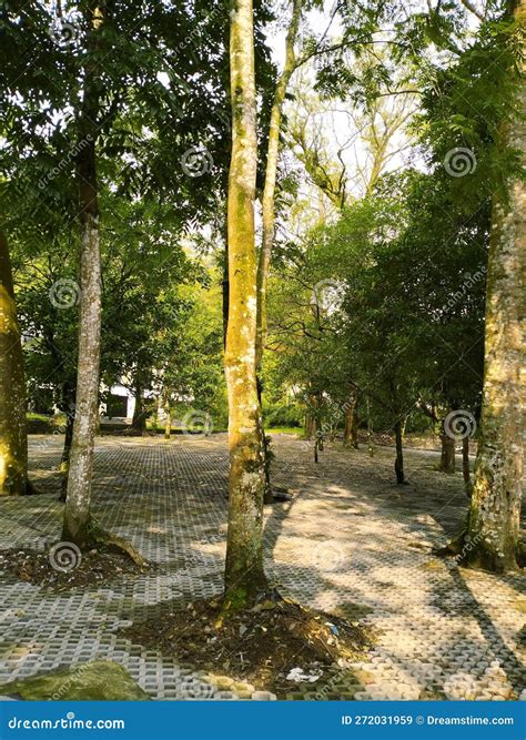 Green Parking Lot of a Climbing Hotel Stock Image - Image of hotel