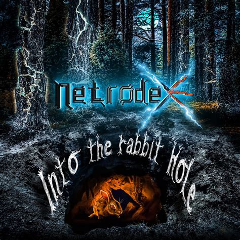 Into The Rabbit Hole Single By Netrodex Spotify