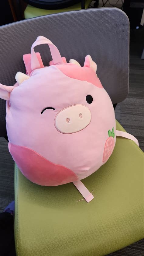 Names of Squishmallows : r/squishmallow