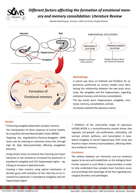 Pdf Different Factors Affecting The Formation Of Emotional Mem Ory