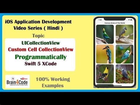 Create CollectionView With Custom Cell Programmatically In Swift 5