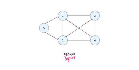 What is the Hamiltonian Graph? | Scaler Topics