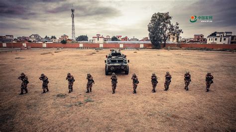 China Defense Blog: Mechanized Infantry Battalion, People's Armed Police