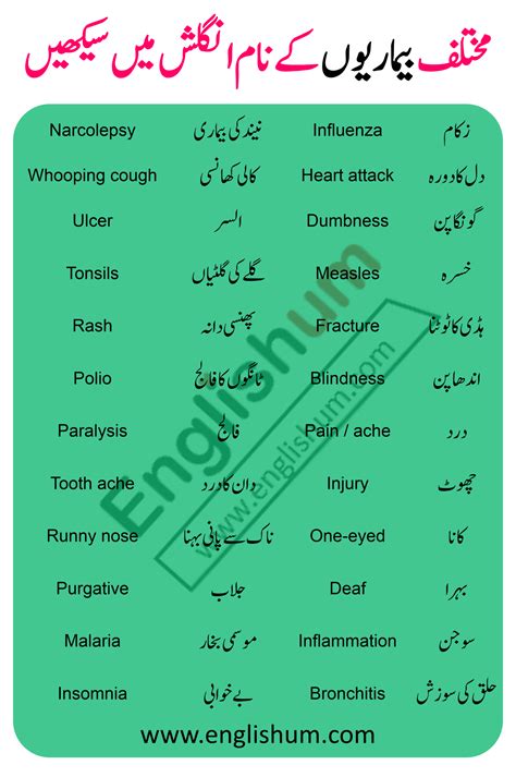 Diseases Names In English With Urdu Meanings