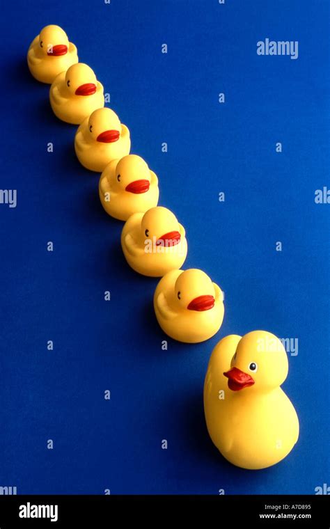 Rubber Ducks In Row Stock Photo Alamy