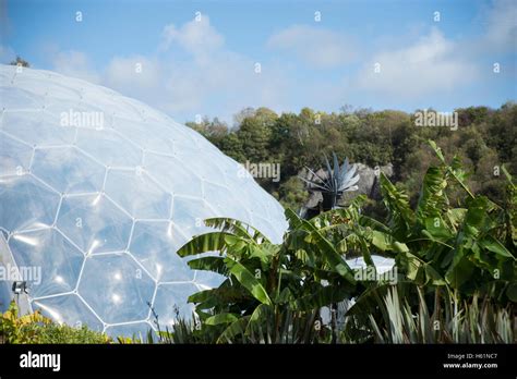 Outside The Rainforest Biome Eden Project Stock Photo Alamy