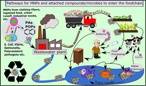 Plastic Pervasive In Food Supply Says New Study