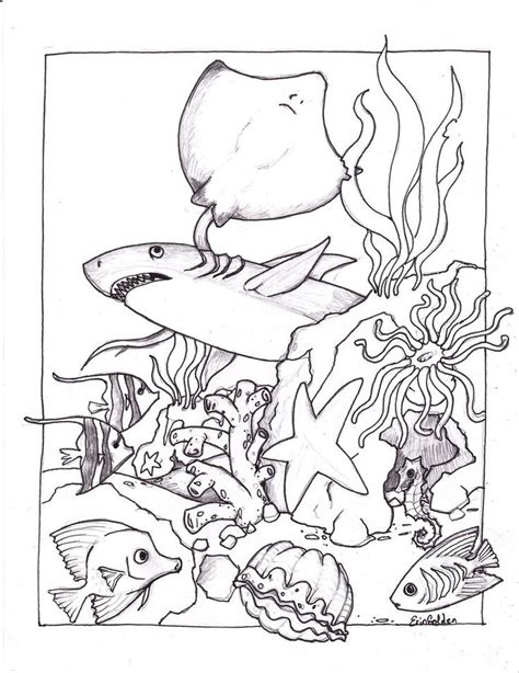 Ocean Habitat Coloring Pages