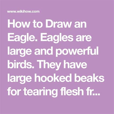 4 Ways To Draw An Eagle Wikihow Eagles Drawings Draw