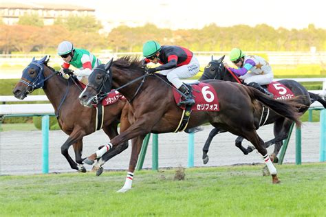 【デイリー杯2歳s】セリフォスが無傷3連勝で重賞連覇 藤岡佑介騎手「4角からねじ伏せる競馬を」 Umatoku 馬トク