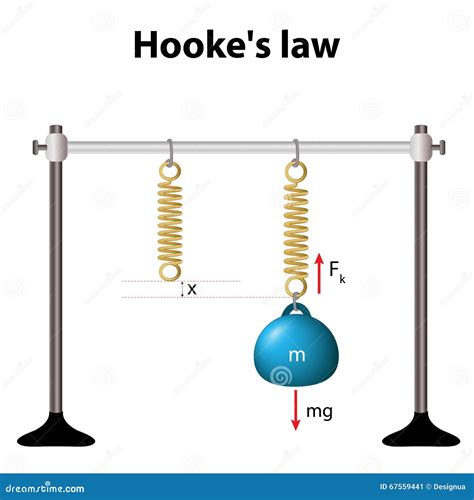 Hookes Law Vector Illustration Physics Extend Spring Force Explanation