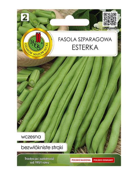 Fasola szparagowa zielona Karłowa Esterka 20 g PNOS PNOS Nasiona warzyw