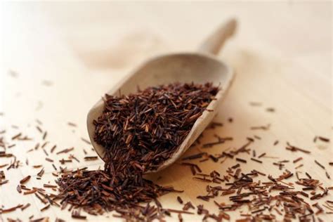 Rooibos Tea History From Local Drinks To World Famous Herbal Teas