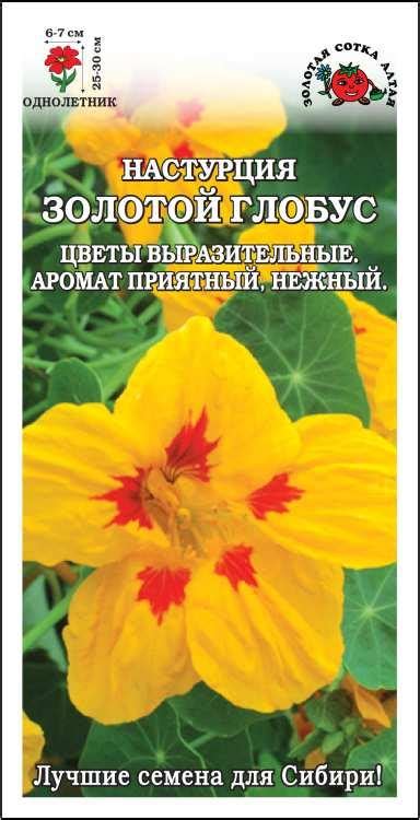 Золотая сотка алтая